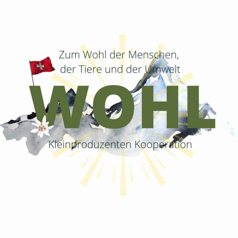 WOHL-800x800